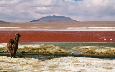 Maximum Participation in the Bolivian Highlands